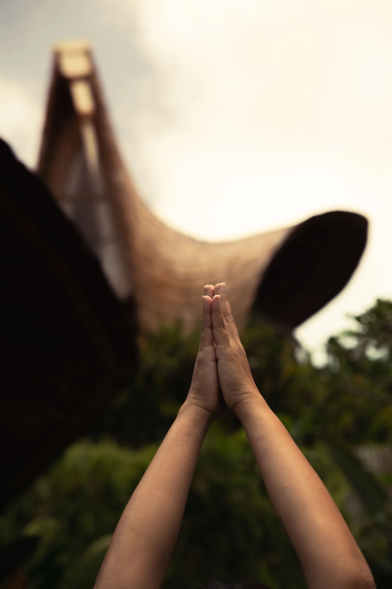 Yoga practice at Anima Shala, Lombok